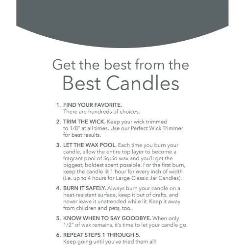 Zoom sur Yankee Candle Bougie parfumée Macintosh, 2 mèches, 650 ml