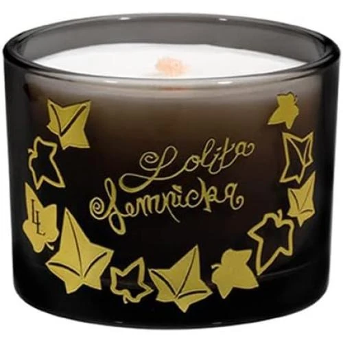 Zoom sur Maison Berger, Duo Mini Bouquet, Bougie Black Edition