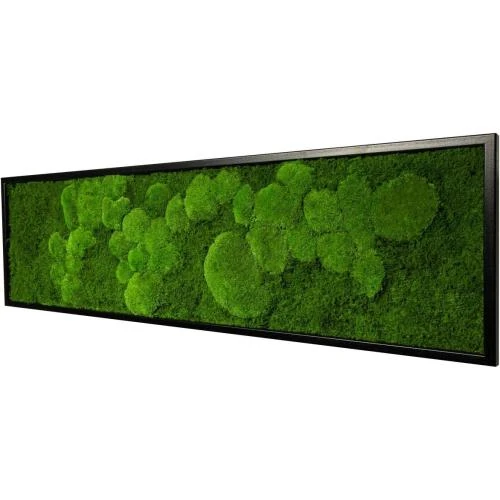 Détail de Mousse Mural Décoration, Panneau Plante, Cadre Bois Noir