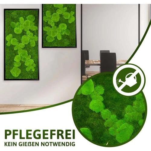 Zoom sur Mousse Mural Décoration, Panneau Plante, Cadre Bois Noir