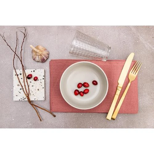 Zoom sur Assiettes Plates Ceramique Beige, Lot 6, Lave-vaisselle, Micro-ondes