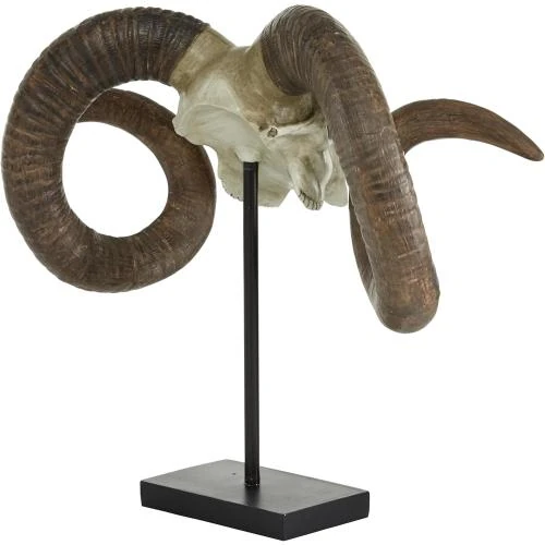 Zoom sur Deco 79 Tête de Mort Mouton Polystone, Décoration Murale