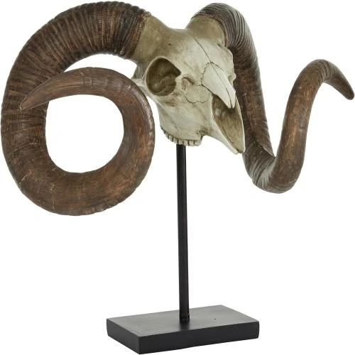 Deco 79 Tête de Mort Mouton Polystone, Décoration Murale - Vue principale
