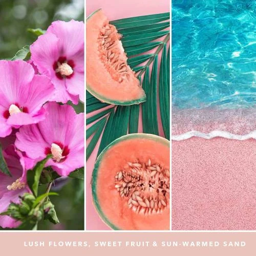 Zoom sur Yankee Candle Sables Roses, Bougie Parfumée Tumbler
