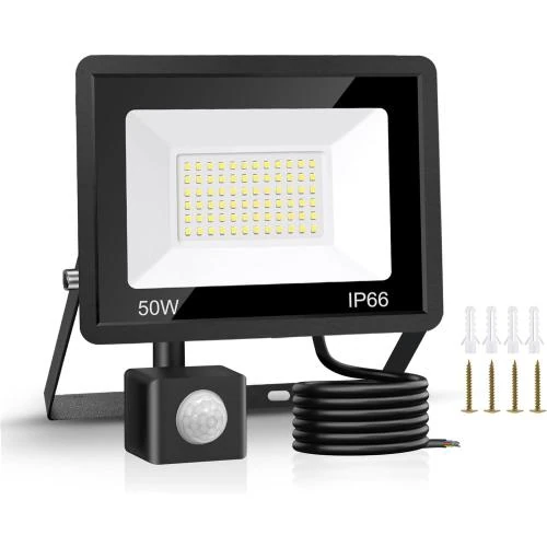 Lampes sécurité Jsdoin 50W, 4500 lumens, IP66, LED - Vue principale