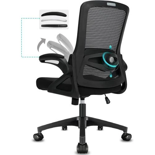 Chaise Bureau Ergonomique Milacyee, Accoudoirs Pliants, Support Lombaire - Vue principale