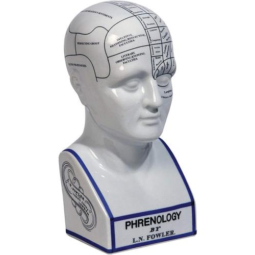 Présentation de Présentation Tête phrenologique porcelaine Authentic Models, décoration unique
