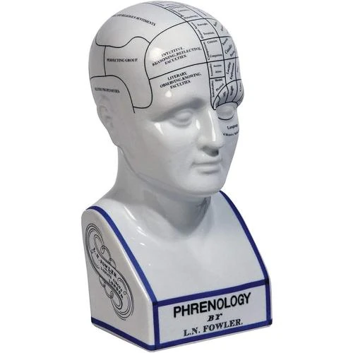 Tête phrenologique porcelaine Authentic Models, décoration unique - Vue principale