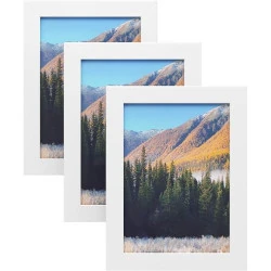 Cadres Photo SONGMICS 13x18 cm Lot de 3 Verre Blanc