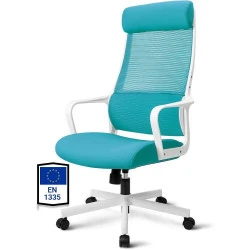 Chaise Bureau Ergonomique, Support Lombaire, Maille Respirante, Bleu