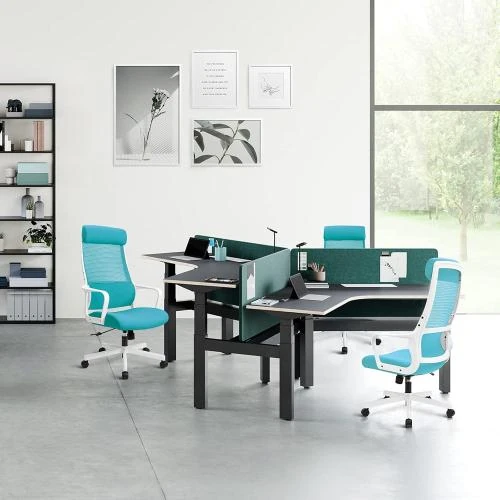 Détail de Chaise Bureau Ergonomique, Support Lombaire, Maille Respirante, Bleu