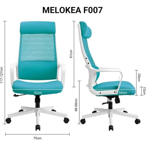 Zoom sur Chaise Bureau Ergonomique, Support Lombaire, Maille Respirante, Bleu