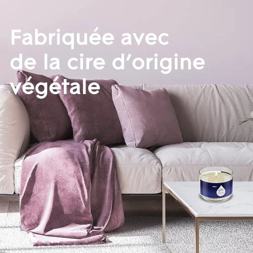 Détail de Glade Bougie Aromatherapy Moment of Zen, Lavande, Santal