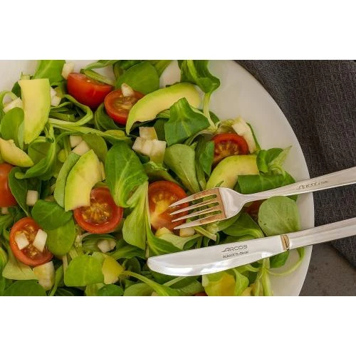 Zoom sur Arcos Fourchettes Table Inox 12 pièces Argent Monobloc
