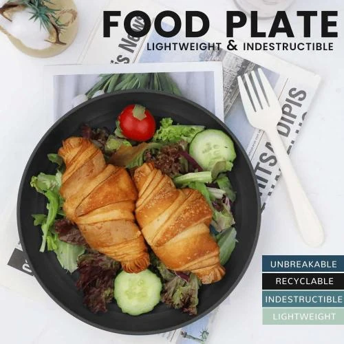 Zoom sur Assiettes Plates Reutilisables Plastique, Micro Ondes, Lave Vaisselle
