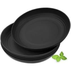 Assiettes Plates Reutilisables Plastique, Micro Ondes, Lave Vaisselle