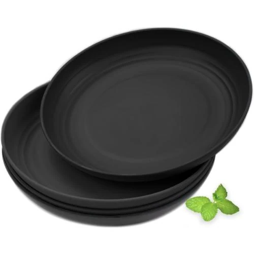 Assiettes Plates Reutilisables Plastique, Micro Ondes, Lave Vaisselle - Vue principale