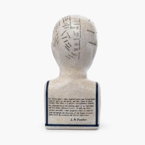 Zoom sur Buste rétro céramique, tête de phrénologie, collection