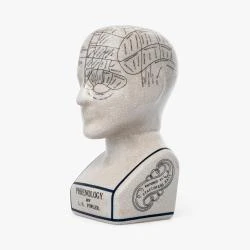 Buste rétro céramique, tête de phrénologie, collection