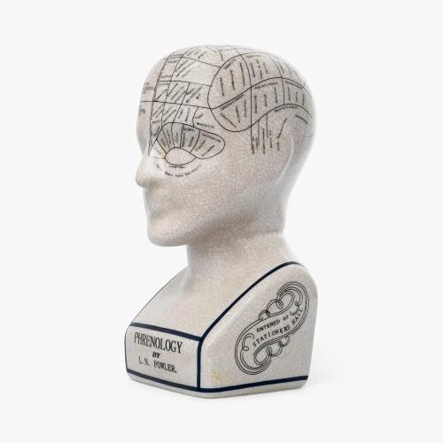 Buste rétro céramique, tête de phrénologie, collection - Vue principale