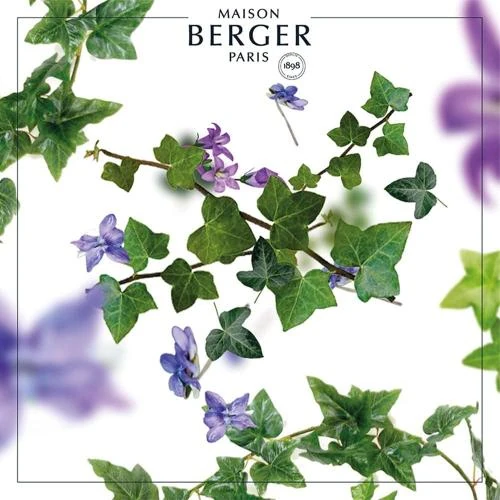 Zoom sur Bougie Parfumée Transparente MAISON BERGER, Lolita Lempicka