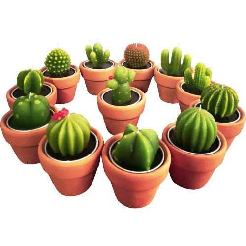 Présentation de Présentation Bougies TIMECOSY, cactus fantaisie, décoration fête intérieure