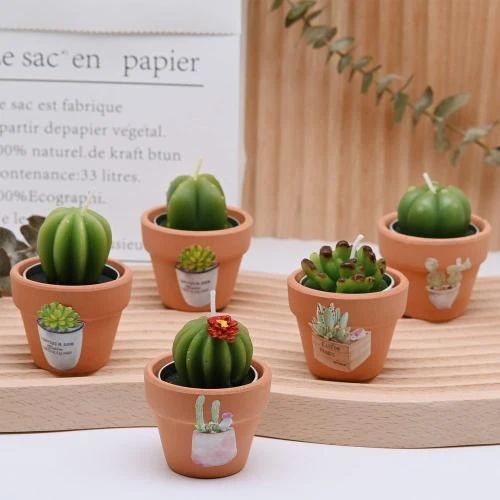 Zoom sur Bougies TIMECOSY, cactus fantaisie, décoration fête intérieure