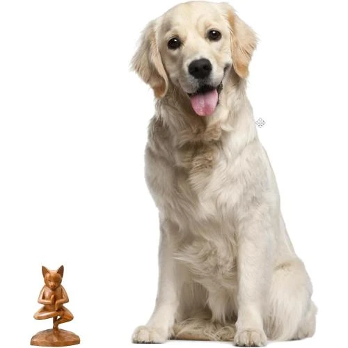 Zoom sur Sculpture en Bois Vrkasana Yoga Kitty Marron NOVICA