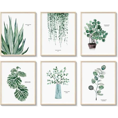 Décoration murale botanique esthétique, vert sauge, eucalyptus - Vue principale
