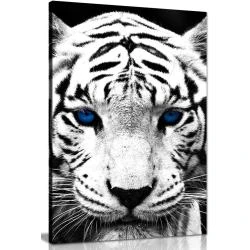 Tableau toile Panther Print, tigre blanc, yeux bleus