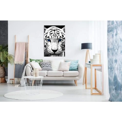 Zoom sur Tableau toile Panther Print, tigre blanc, yeux bleus
