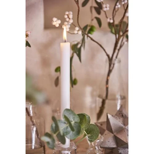 Zoom sur Bougies Crown Bolsius, Blanches, Lot de 8