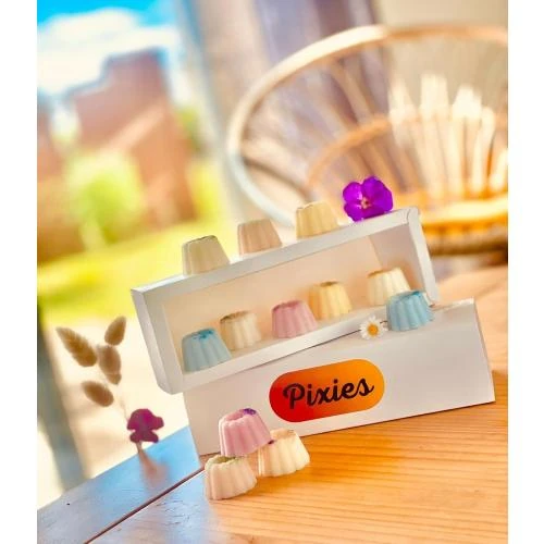 Détail de Coffret 6 Fondants Parfumés Soja Naturel Pixies