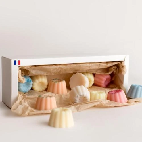 Coffret 6 Fondants Parfumés Soja Naturel Pixies - Vue principale