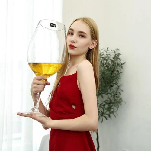Zoom sur YUANXIN Grand Verre à Vin Géant 6500 ml Créatif