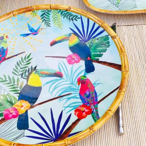 Zoom sur Assiette Plate Melamine Toucans de Rio, Les Jardins de la Comtesse