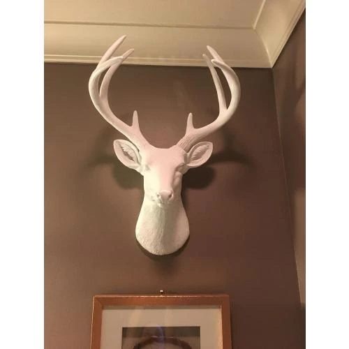 Zoom sur Tête de Cerf Sculpture Résine Blanche, Buste Taxidermie