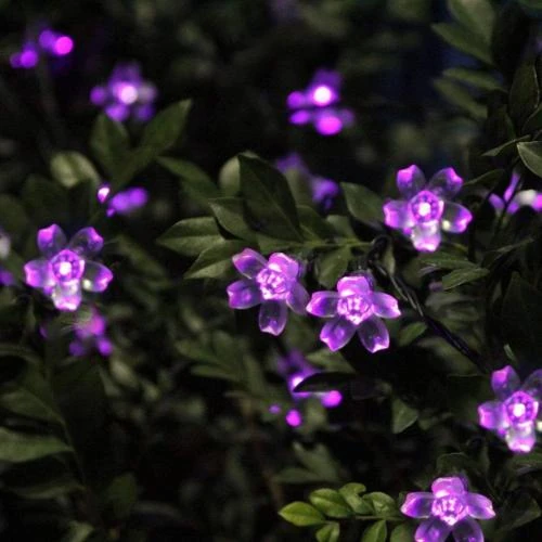 Zoom sur Guirlande Lumineuse Solaire Fleur Jardin Violet, 50LED