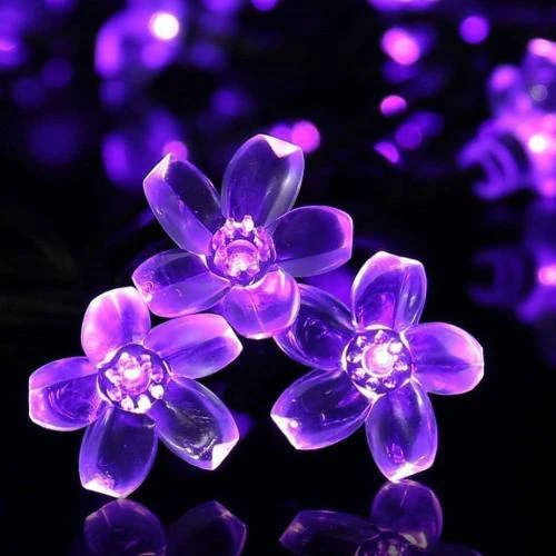 Guirlande Lumineuse Solaire Fleur Jardin Violet, 50LED - Vue principale