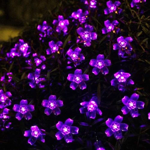 Détail de Guirlande Lumineuse Solaire Fleur Jardin Violet, 50LED