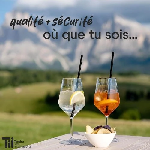 Détail de Verres à vin blanc, rouge, Tritan, incassables, réutilisables