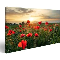 Tableau Toile Fleur Coquelicots Coucher Soleil Décoration