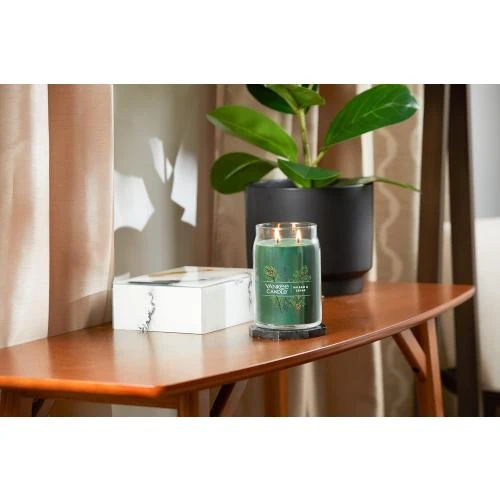 Zoom sur Bougie parfumée Balsam, Cèdre, Yankee Candle, 60h 