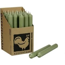 Bougies de table vert sauge, lot de 10, décoration fête