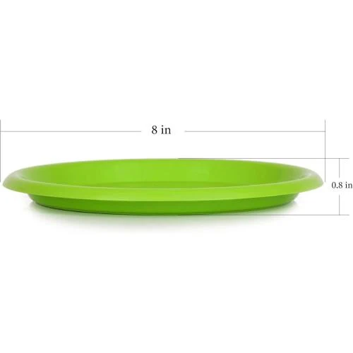 Détail de Assiettes Plastique Reutilisables Lot 12, Micro Ondes, Vert