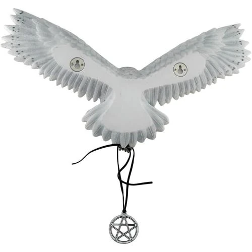 Zoom sur Sculpture Murale Long Marketing Chouette Magique, Pentagramme