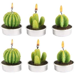 Mini Bougies Chauffe Plat Cactus Parfumées, Sans Fumée, Décoration
