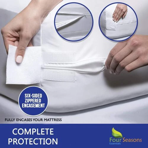 Zoom sur Canapé Lit Queen Four Seasons Essentials, Confort Optimal