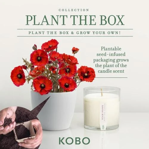 Zoom sur Bougie Kobo Graines, Siam Poppy Parfum Envoûtant