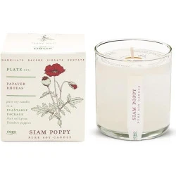 Bougie Kobo Graines, Siam Poppy Parfum Envoûtant